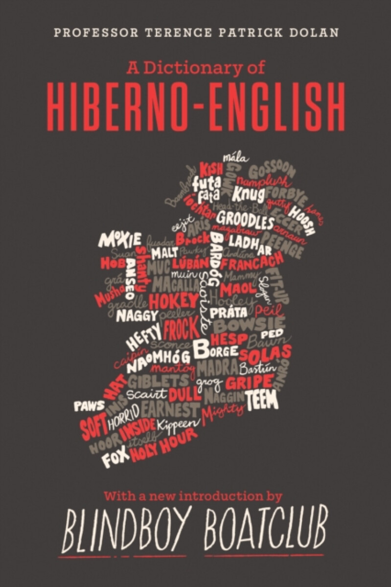 Kniha Dictionary of Hiberno English
