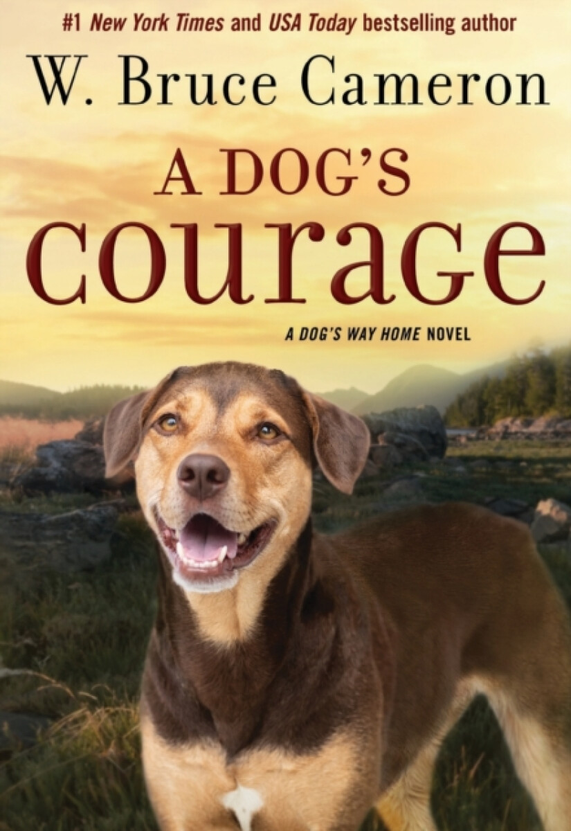 Kniha Dog's Courage