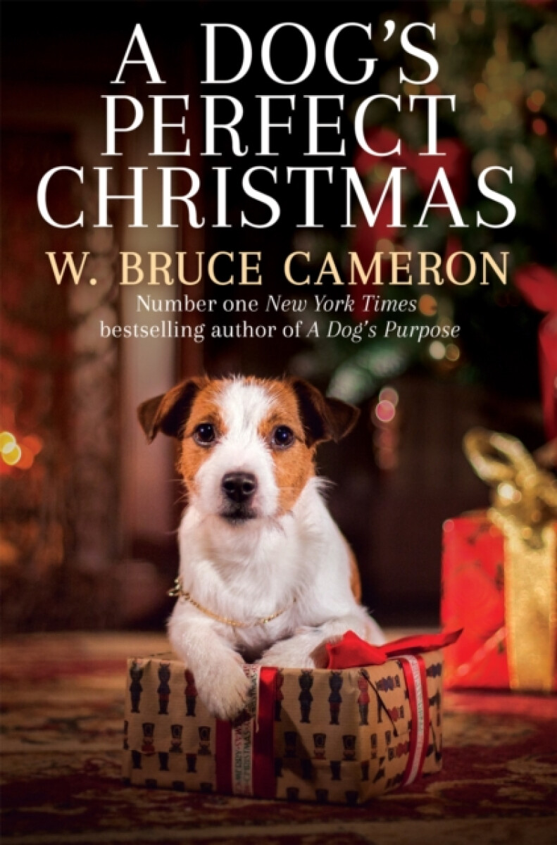 Kniha Dog's Perfect Christmas