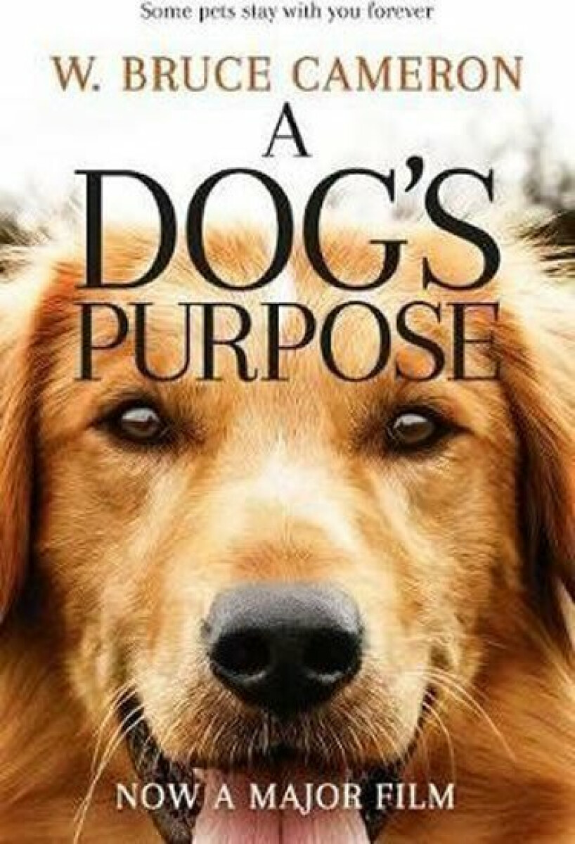 Kniha A Dog's Purpose
