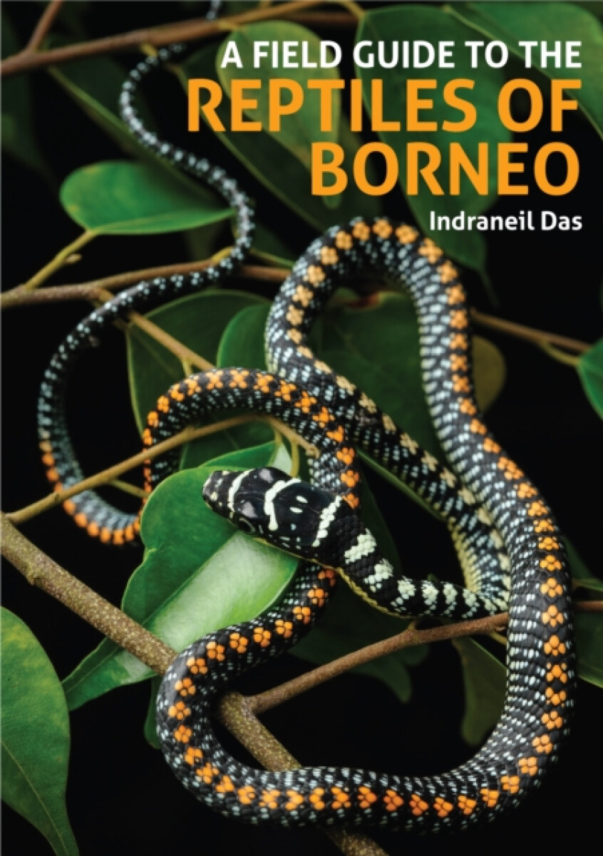 Kniha A Field Guide to the Reptiles of Borneo
