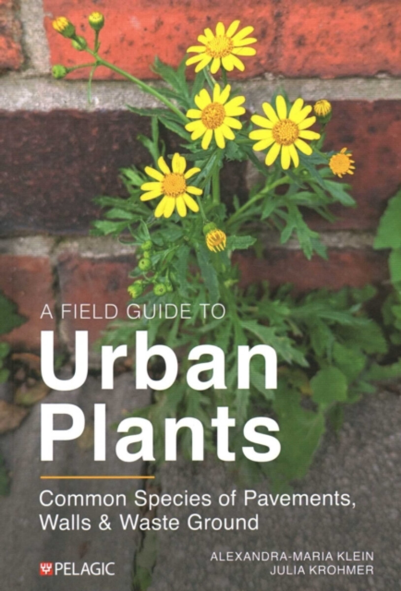 Kniha Field Guide to Urban Plants