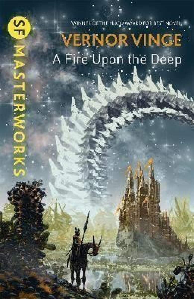 Kniha Fire Upon The Deep