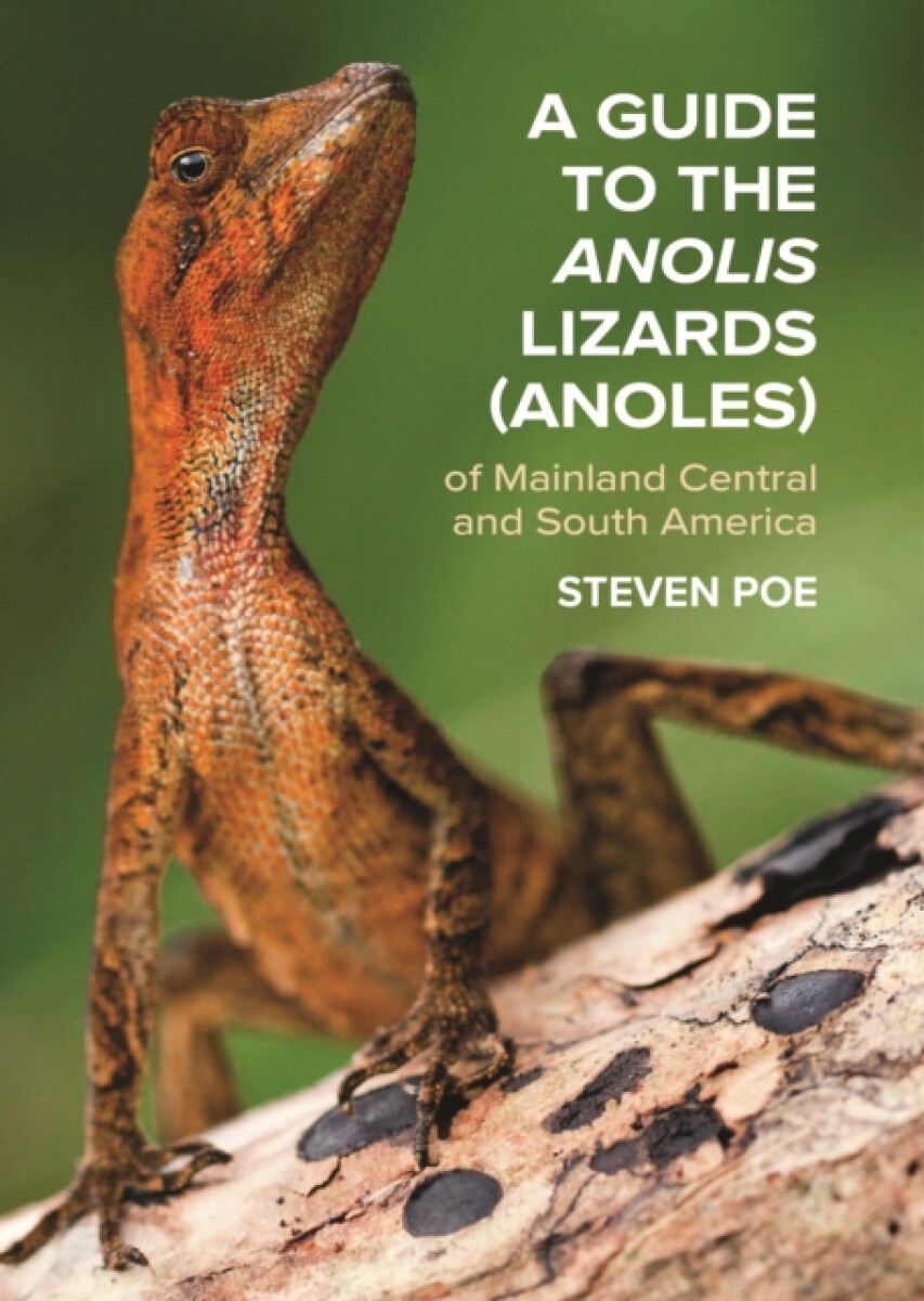 Kniha Guide to the Anolis Lizards (Anoles) of Mainland Central and South America
