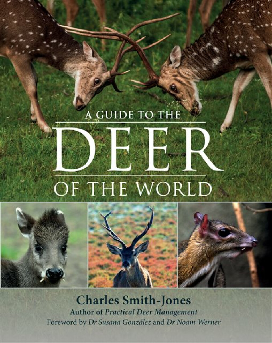 Kniha Guide to the Deer of the World