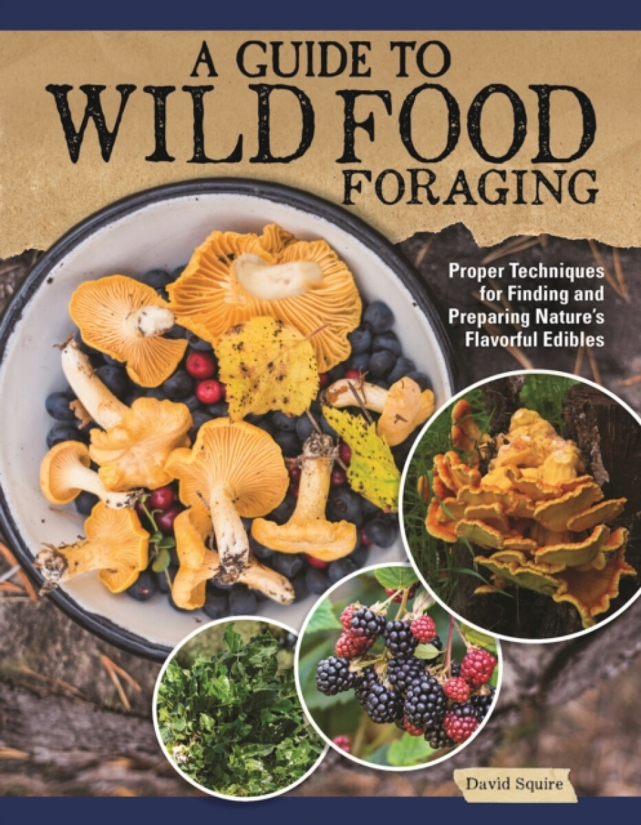 Kniha Guide to Wild Food Foraging