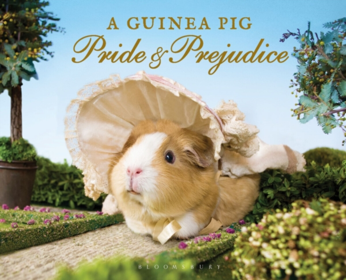 Kniha A Guinea Pig: Pride and Prejudice