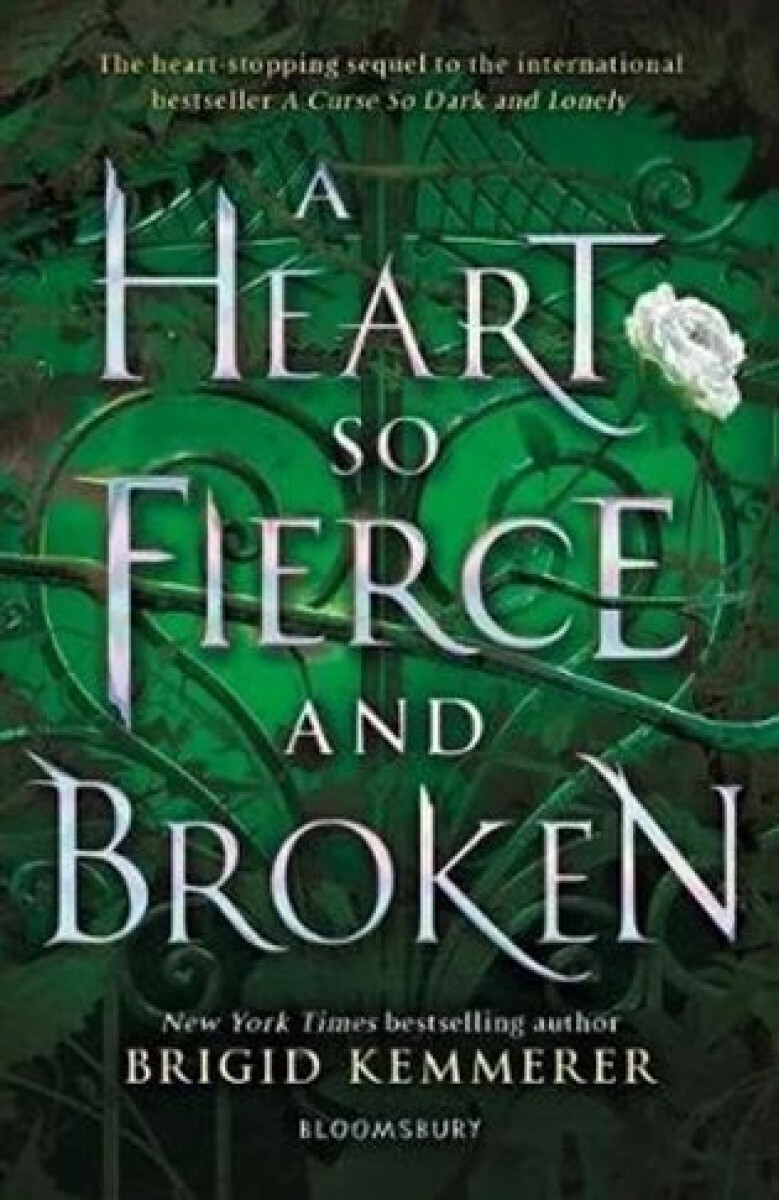 Kniha A Heart So Fierce and Broken