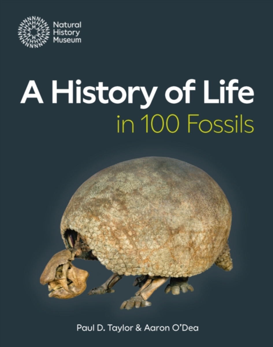Kniha History of Life in 100 Fossils