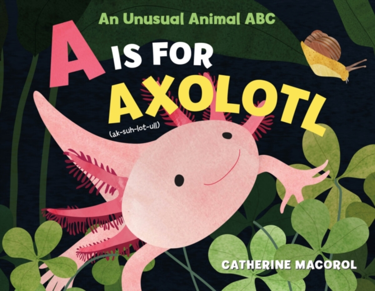 Kniha Is for Axolotl: An Unusual Animal ABC