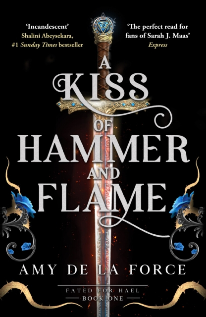 Kniha Kiss of Hammer and Flame