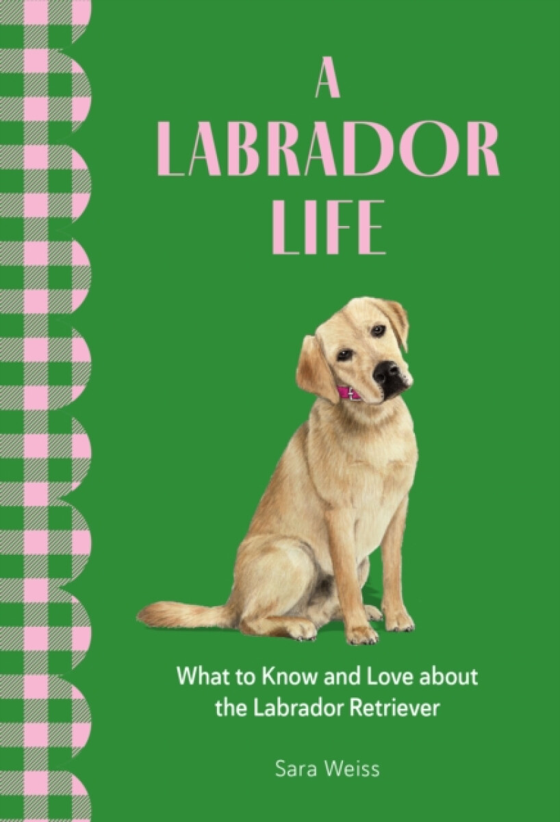 Kniha Labrador Life