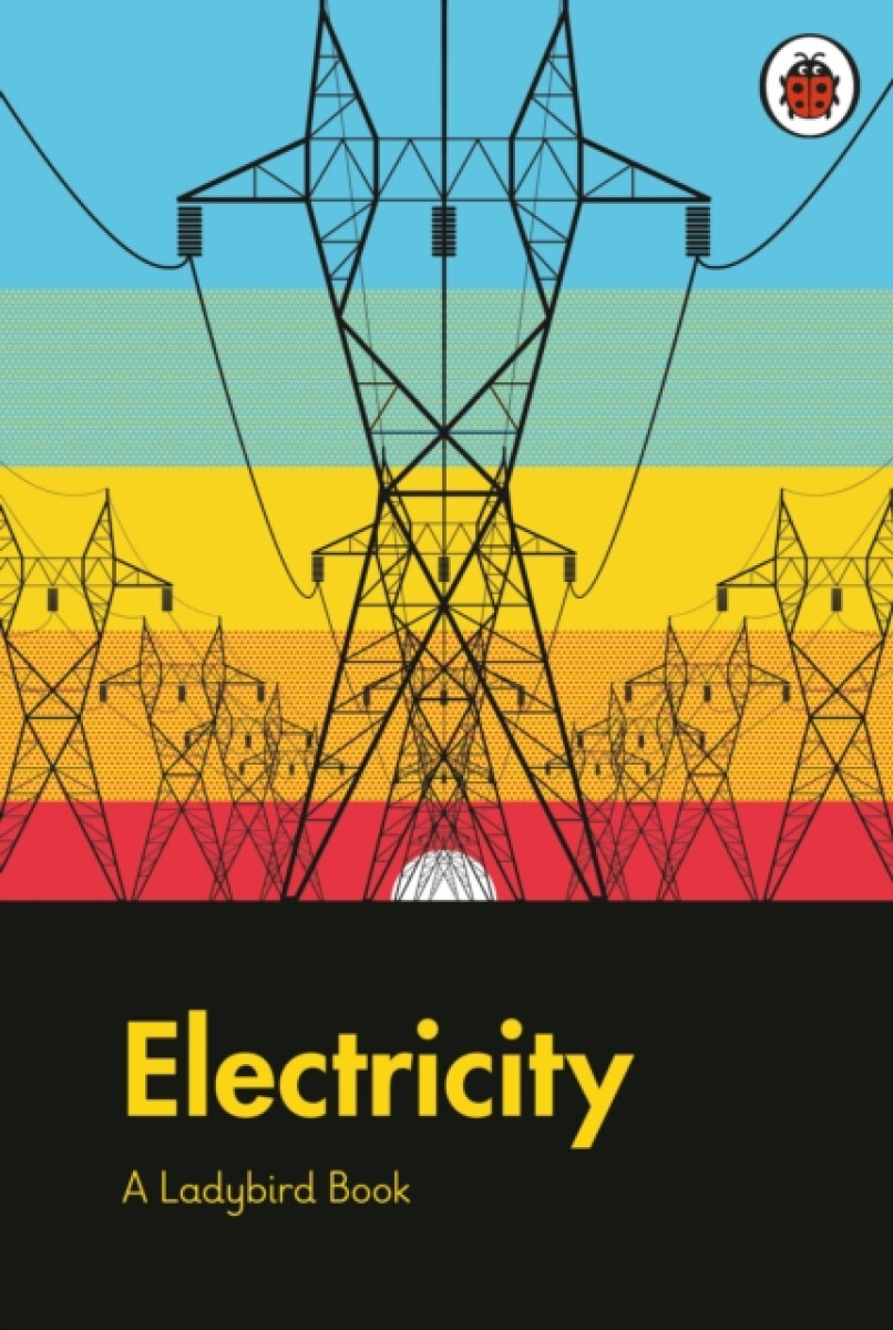 Kniha Ladybird Book: Electricity