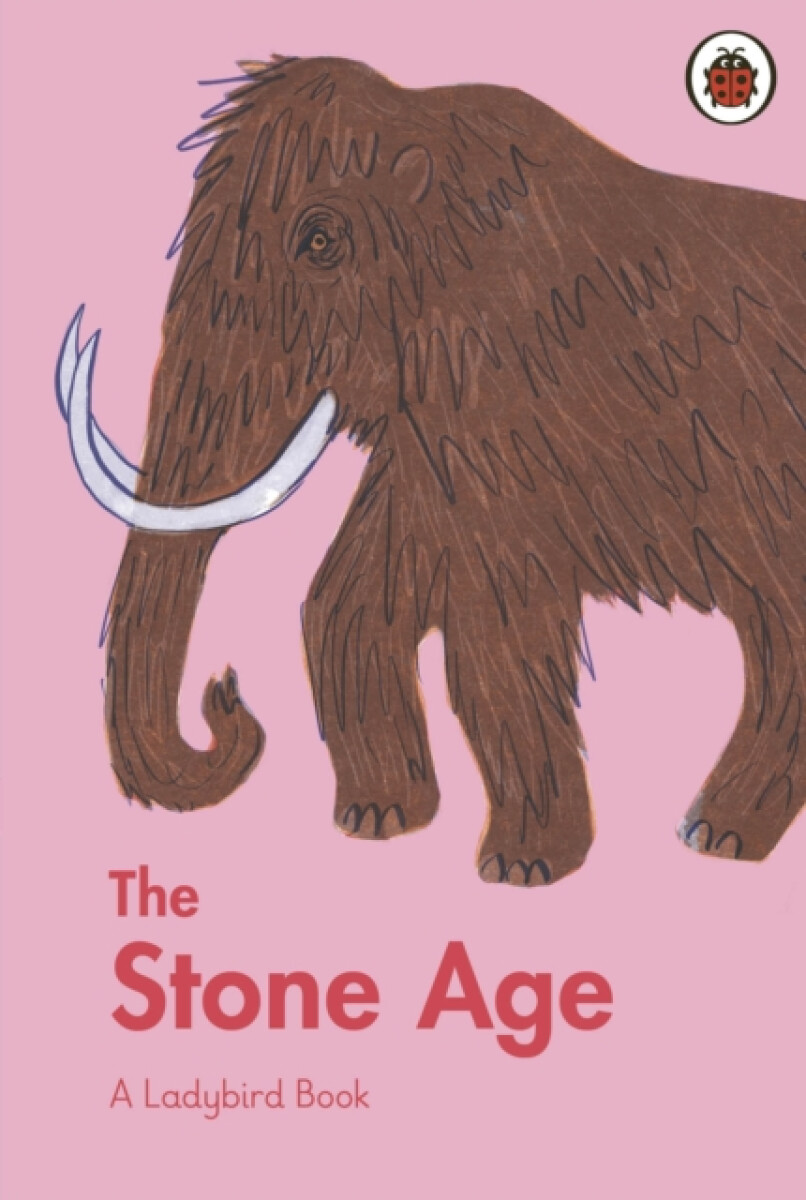 Kniha Ladybird Book: The Stone Age