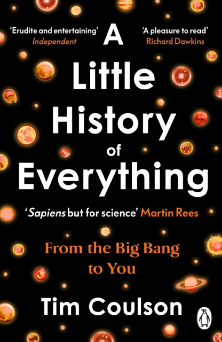 Kniha Little History of Everything