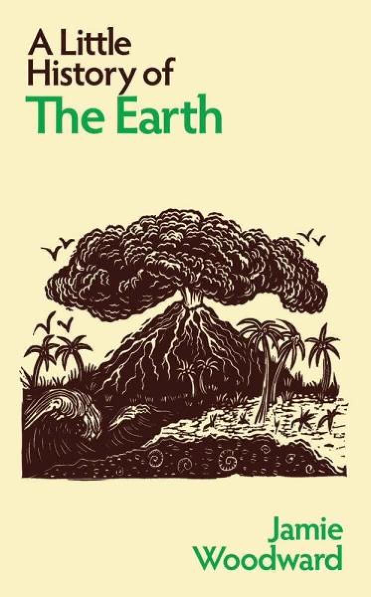 Kniha Little History of the Earth