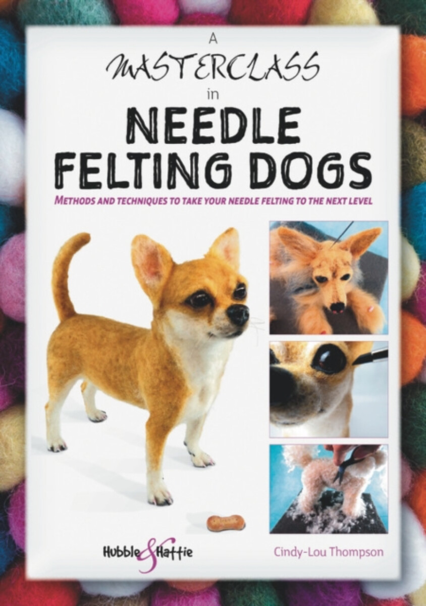 Kniha Masterclass in needle felting dogs