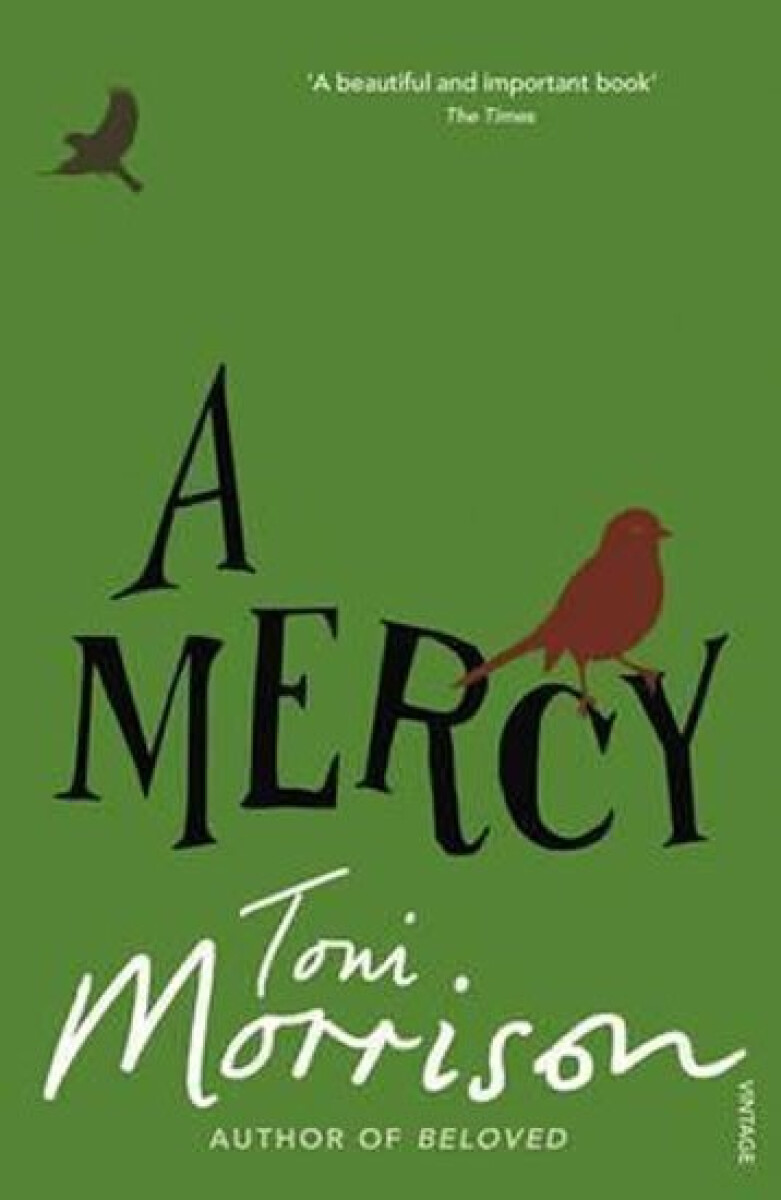 Kniha A Mercy