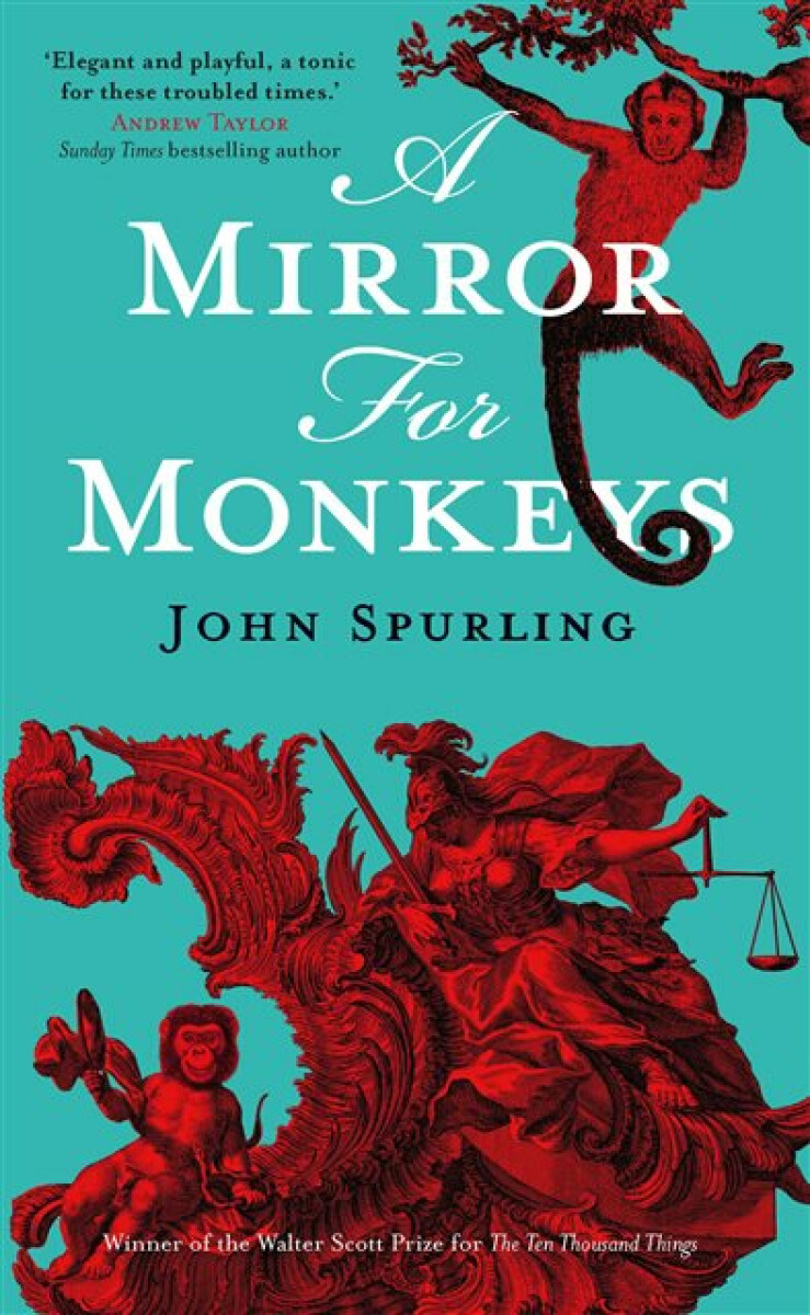 Kniha Mirror for Monkeys