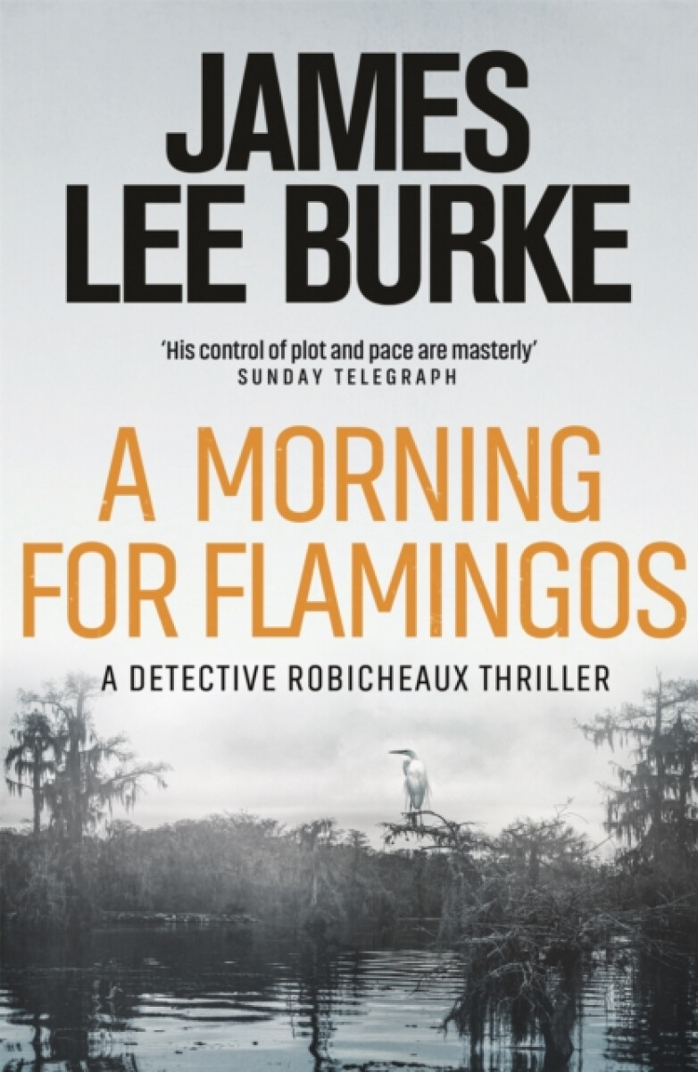 A Morning For Flamingos - James Lee Burke