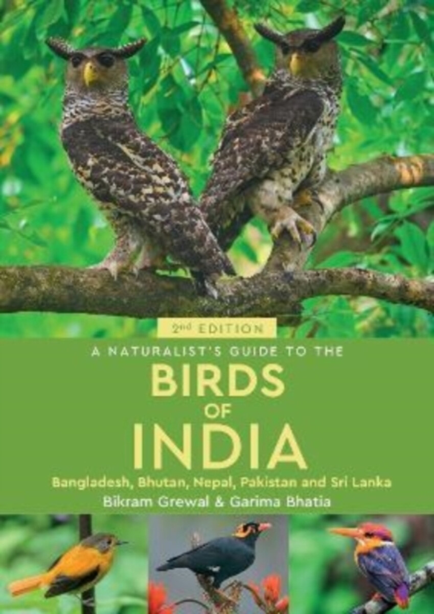 Kniha Naturalist's Guide to the Birds of India