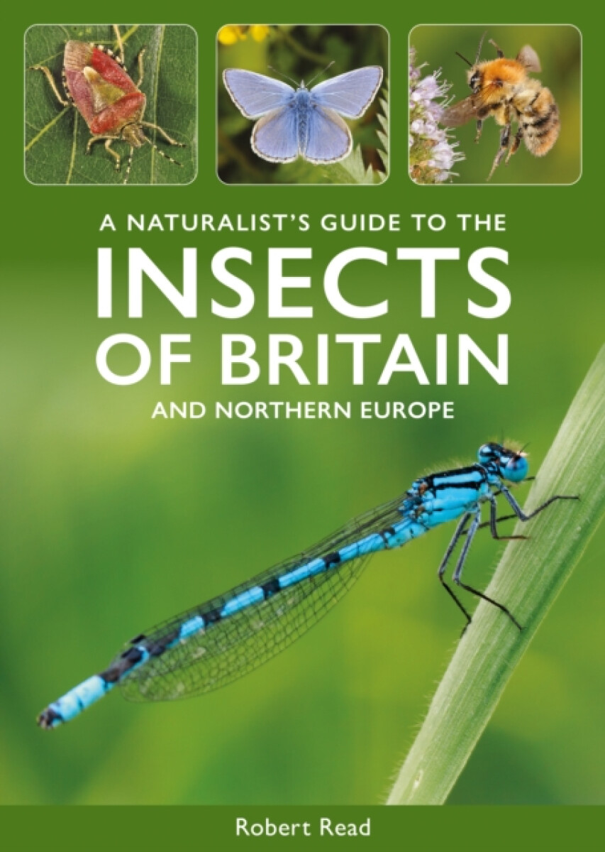 Kniha Naturalist's Guide to the Insects of Britain and Northern Europe
