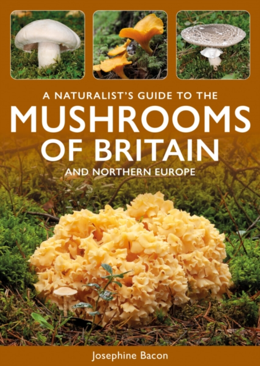 Kniha Naturalist's Guide to the Mushrooms of Britain and Northern Europe