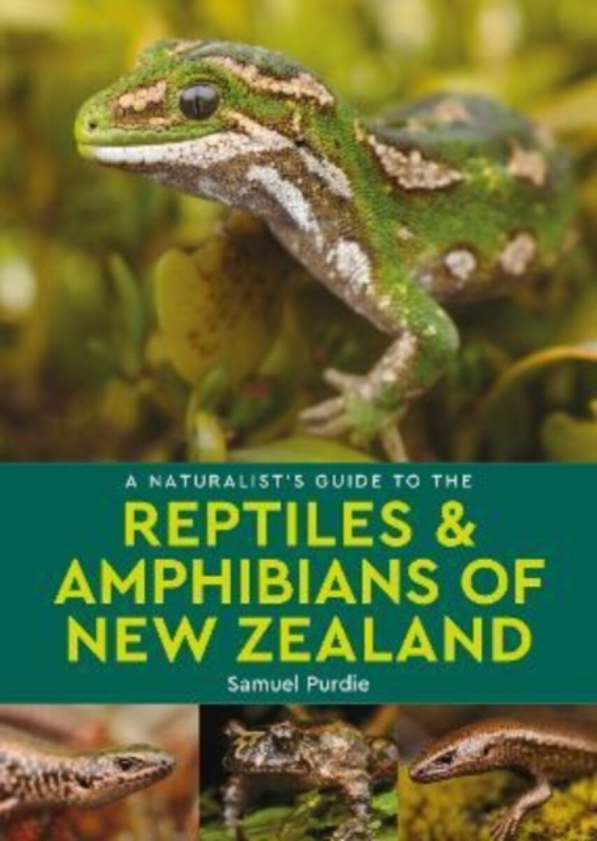 A Naturalist's Guide to the Reptiles & Amphibians Of New Zealand - Samuel Purdie