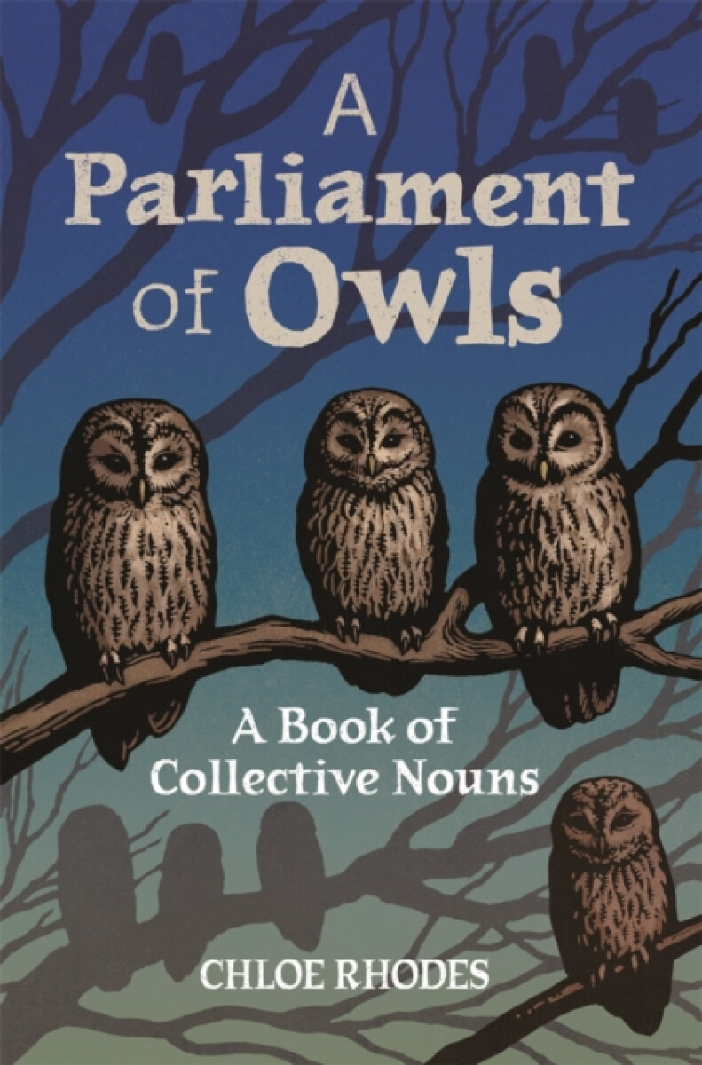 Kniha Parliament of Owls
