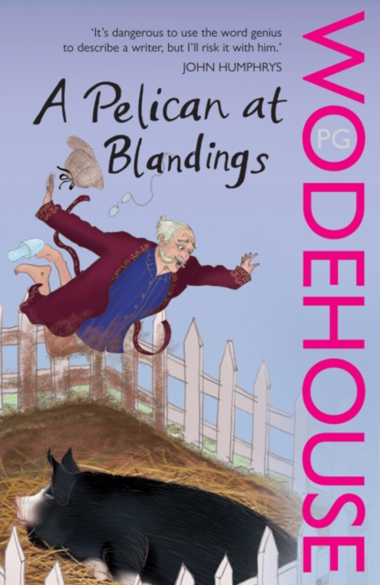 Kniha A Pelican at Blandings