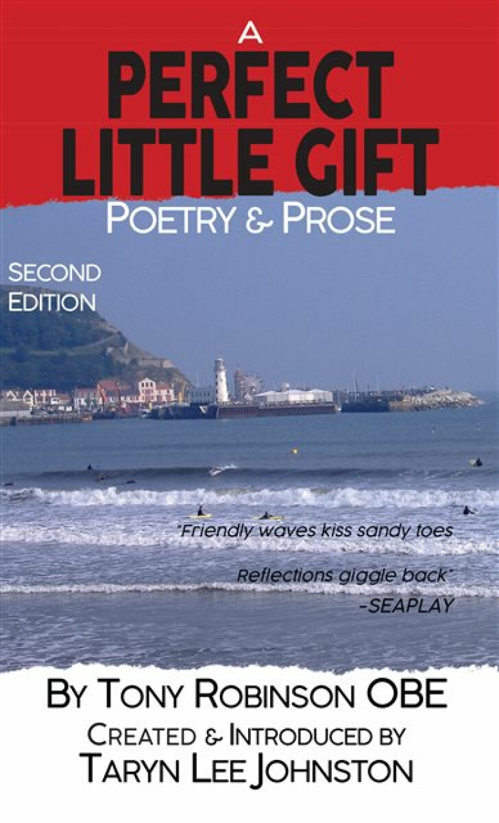 Kniha Perfect Little Gift