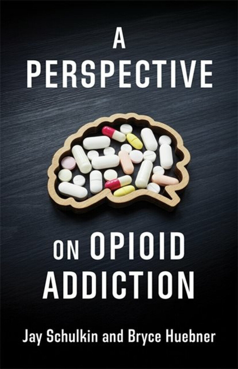 Kniha Perspective on Opioid Addiction