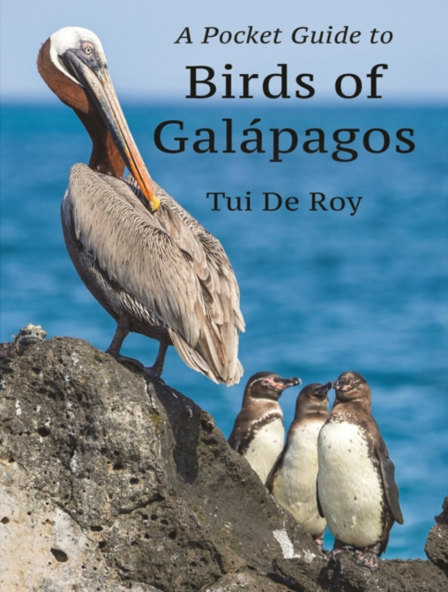 Kniha Pocket Guide to Birds of Galapagos
