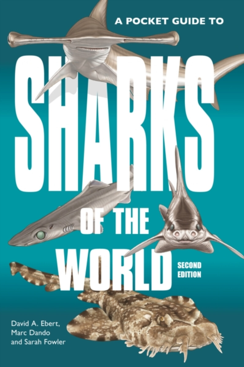 Kniha Pocket Guide to Sharks of the World