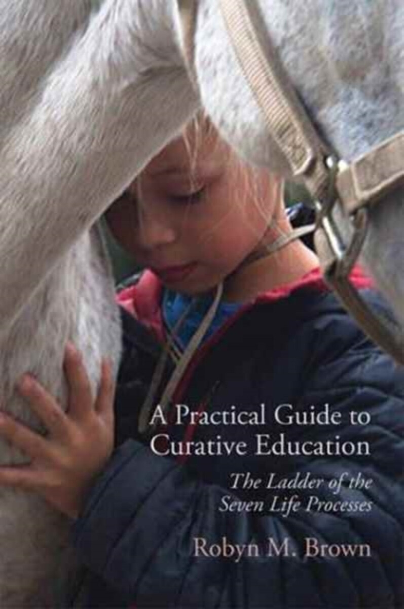 Kniha Practical Guide to Curative Education