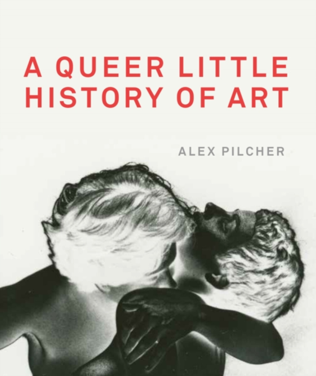 Kniha A Queer Little History of Art