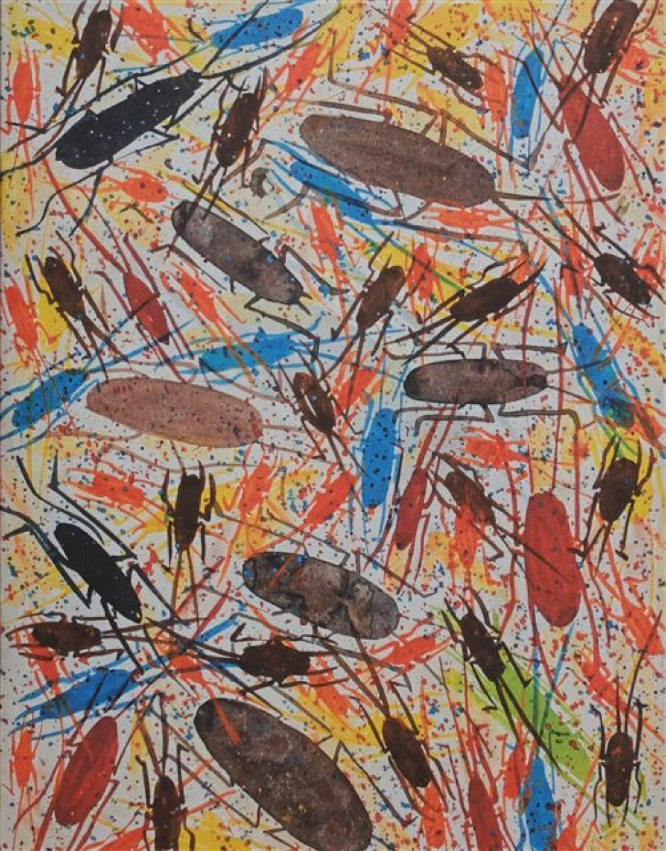 Kniha Rare Gift of the Tropics