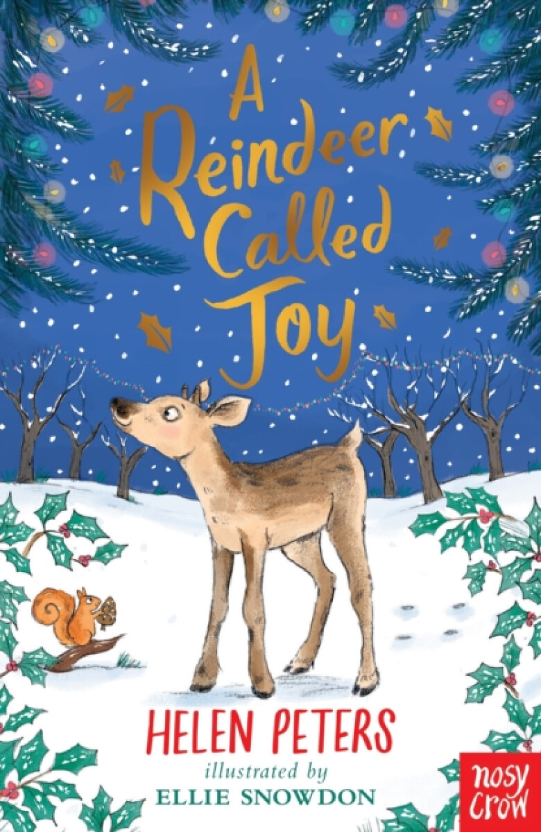 Kniha A Reindeer Called Joy