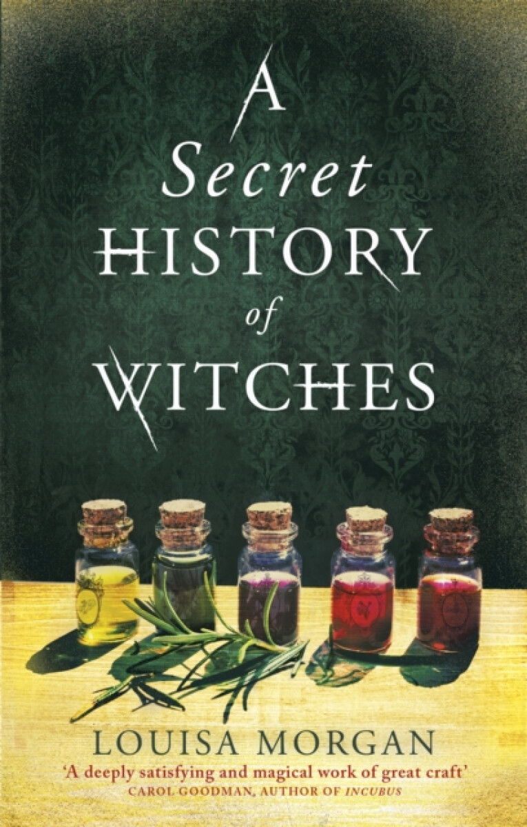 Kniha Secret History of Witches
