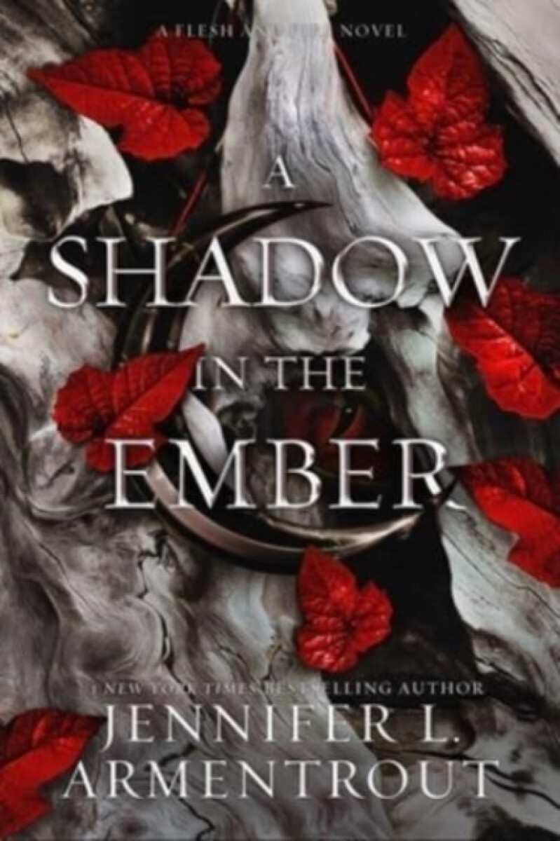 Kniha A Shadow in the Ember
