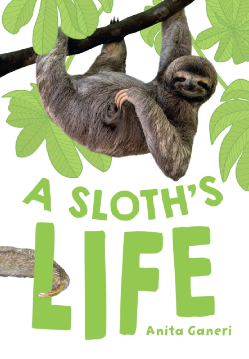 Kniha Sloth's Life