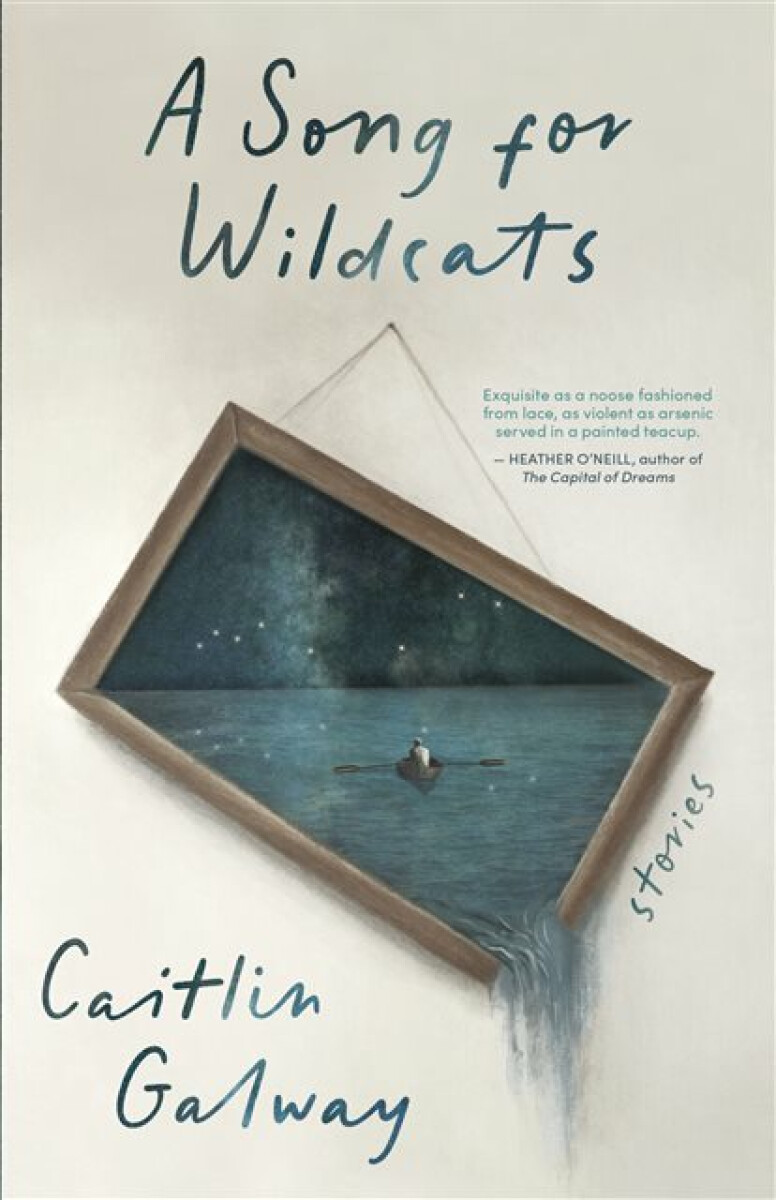 Kniha Song for Wildcats