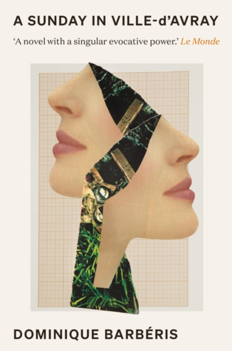 A Sunday in Ville-d'Avray - Dominique Barberis