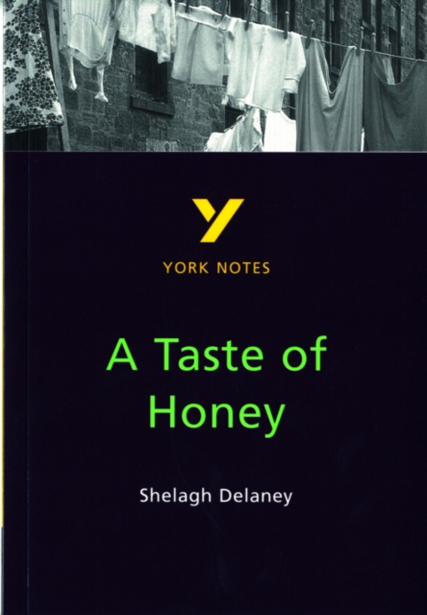 Kniha A Taste of Honey everything you need to catch up, study and prepare for the 2025 and 2026 exams