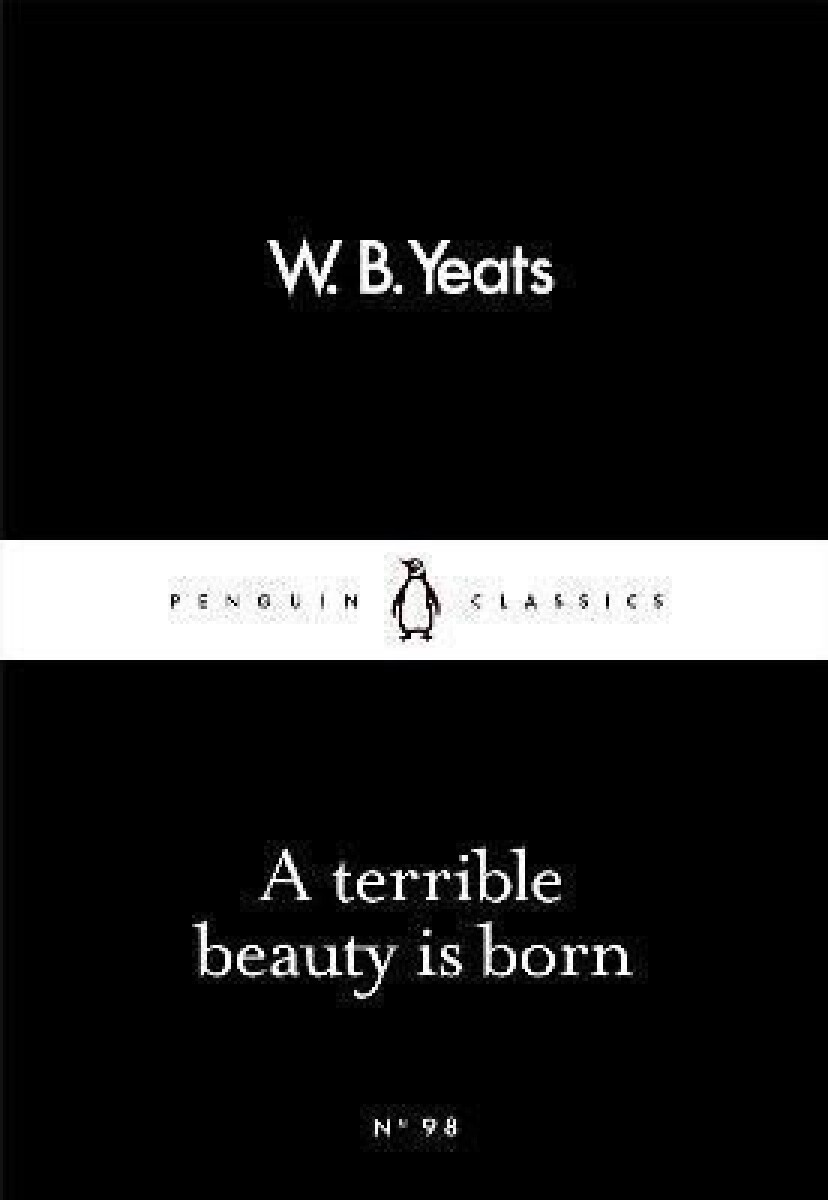 Kniha A Terrible Beauty Is Born