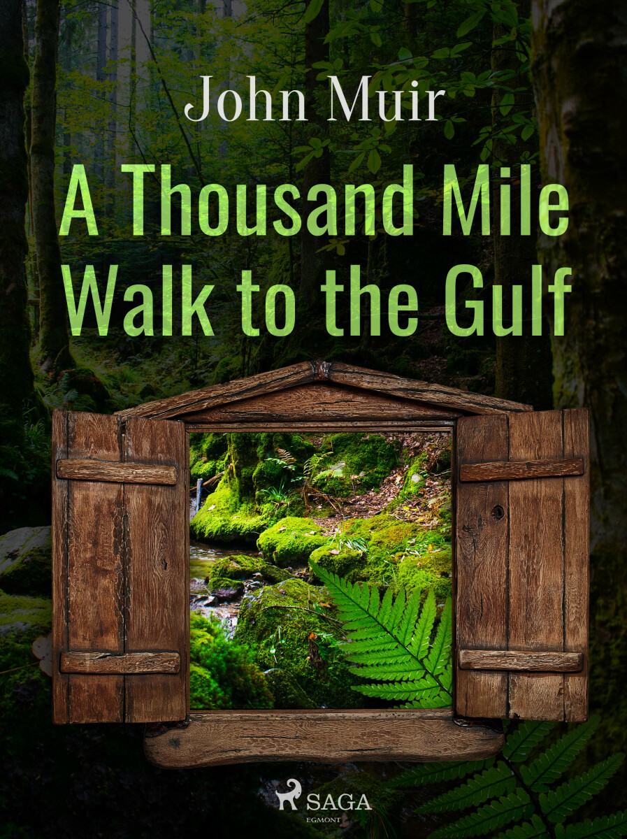 Levně A Thousand Mile Walk to the Gulf - John Muir