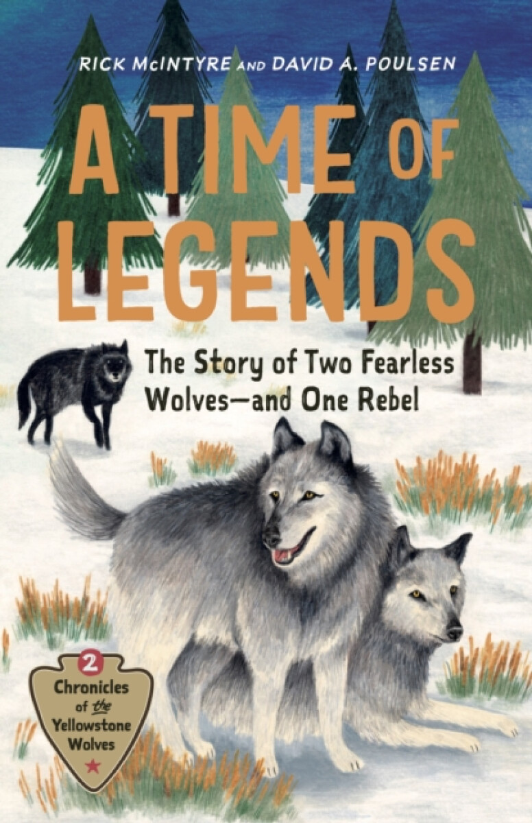 A Time of Legends - Rick McIntyre, David A. Poulsen