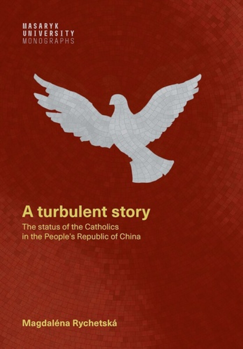 Kniha A turbulent story