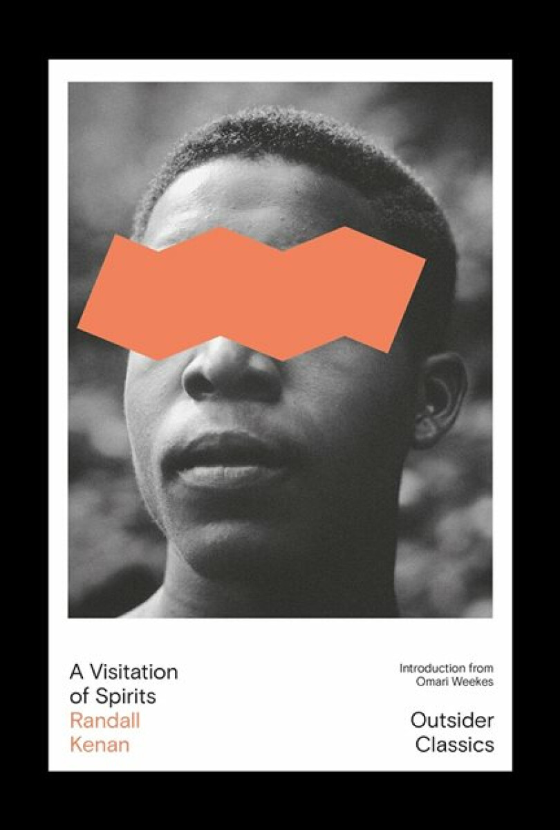 Kniha A Visitation of Spirits