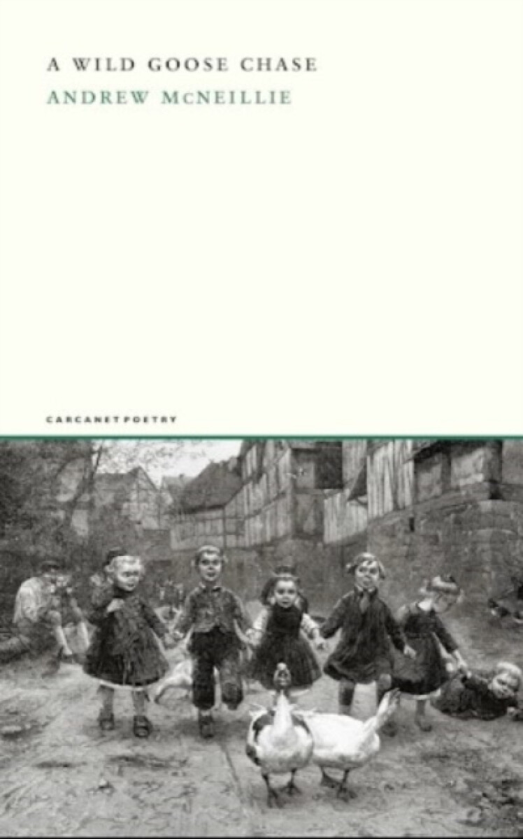 Kniha Wild Goose Chase